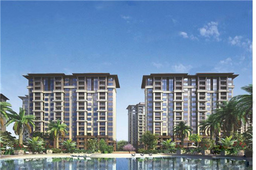 鱼头大大鱼头泡饭