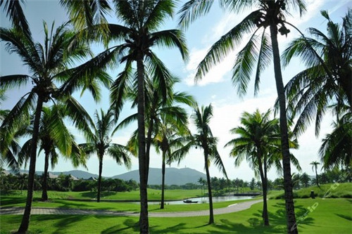 禾香麦田煲仔饭