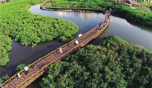 橙士风奶茶在仁寿县知名度如何