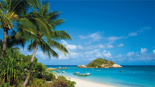 奶茶加盟哪个品牌比较受欢迎，棠小唐奶茶有多少家分店