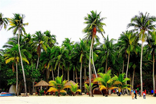 四川成都锦江区新房楼盘价格（成都锦江区房价2021最新价格）