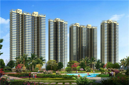 保罗十大神秘动作是什么（保罗十大神秘动作是什么电影）