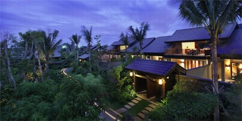 科诺308治疗仪官方旗舰店（科诺308使用方法）